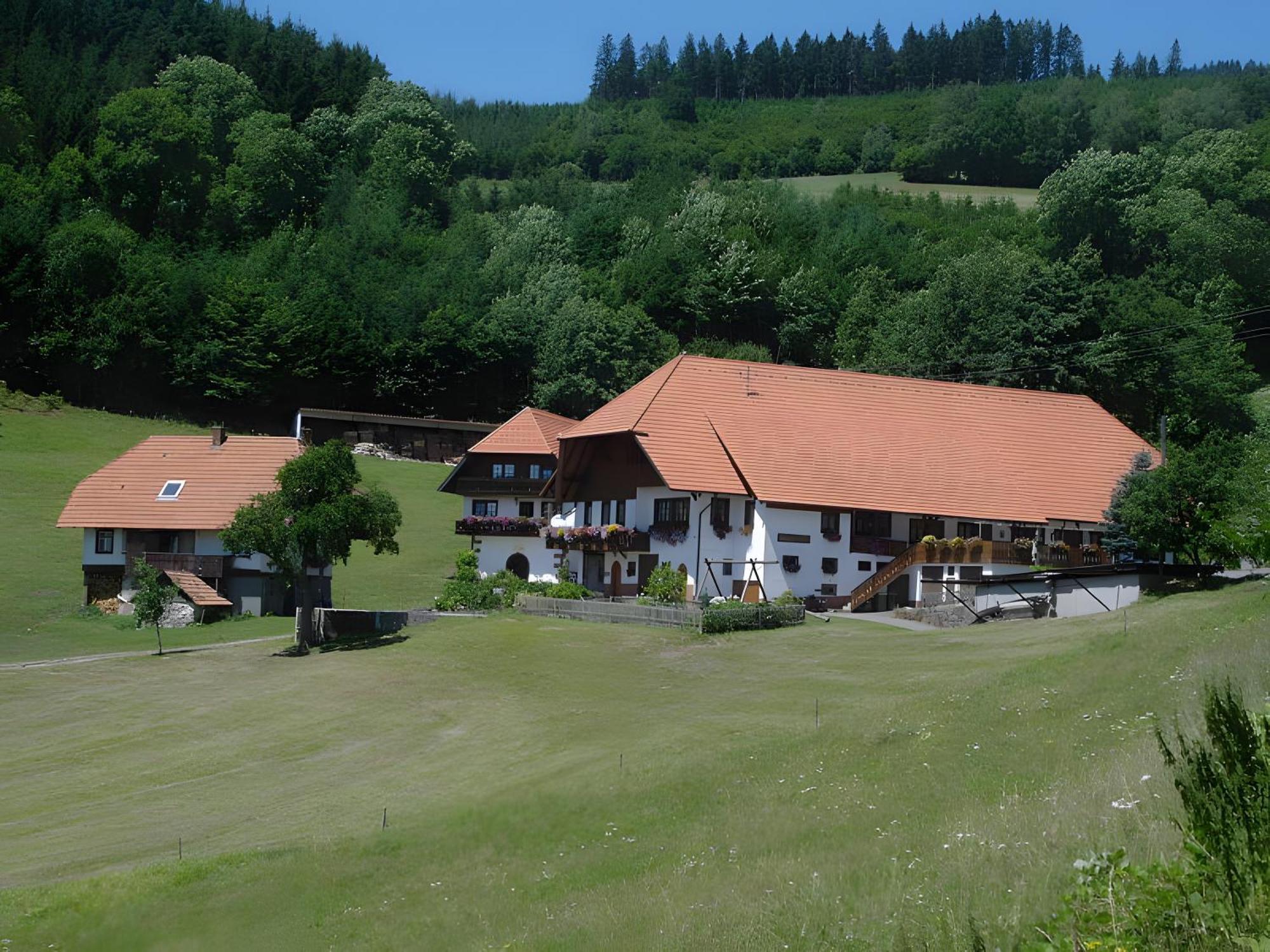Apartamento Uhlhof Neuenbach Exterior foto
