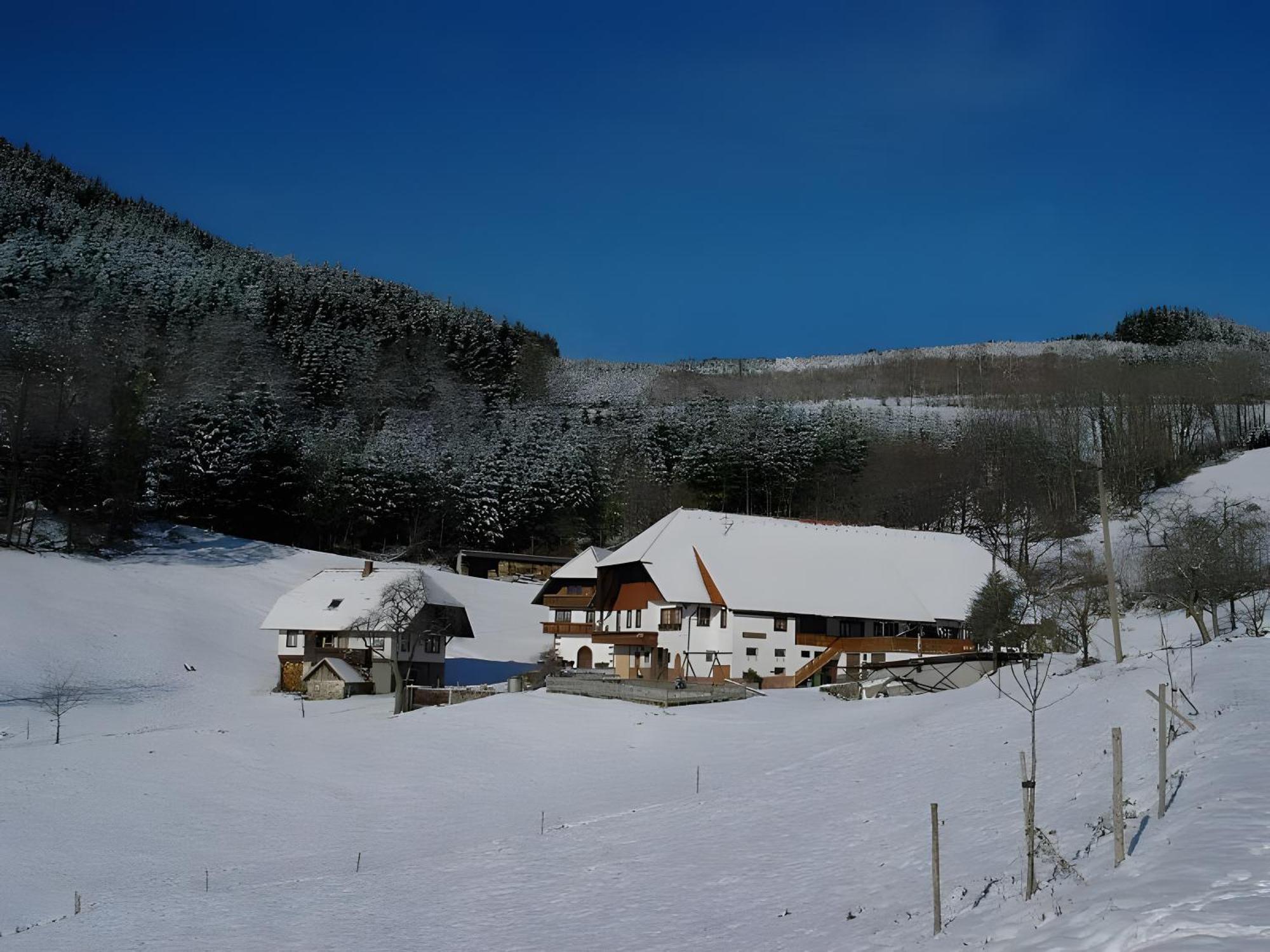 Apartamento Uhlhof Neuenbach Exterior foto