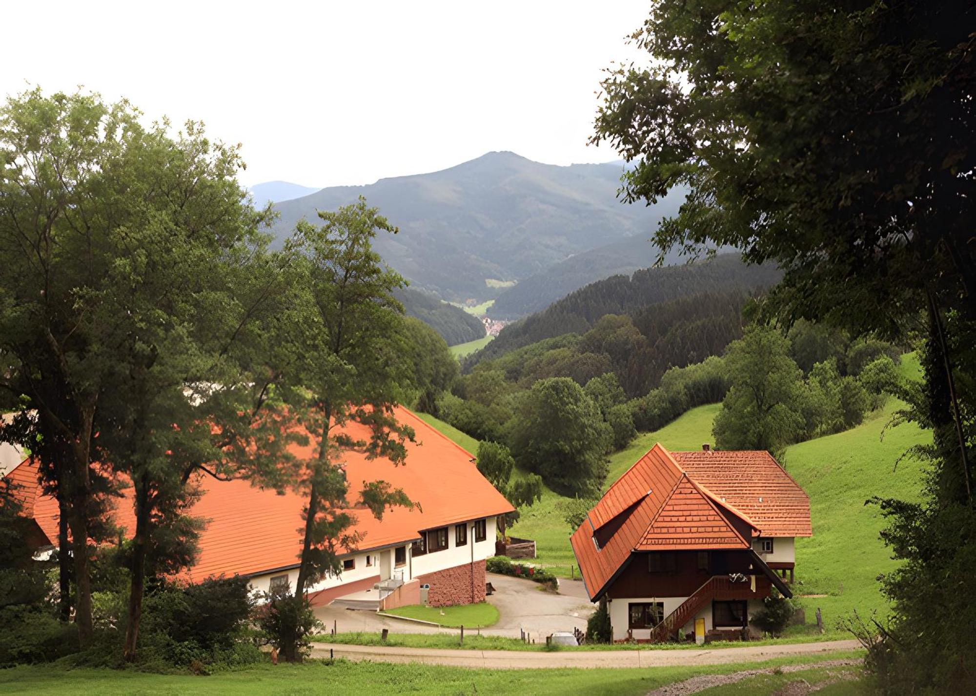 Apartamento Uhlhof Neuenbach Exterior foto